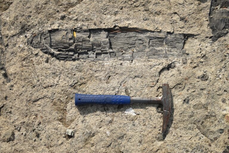 Lode Gold Resource Estimate - Lode Gold Unveils Major Resource Estimate at Fremont Gold Mine