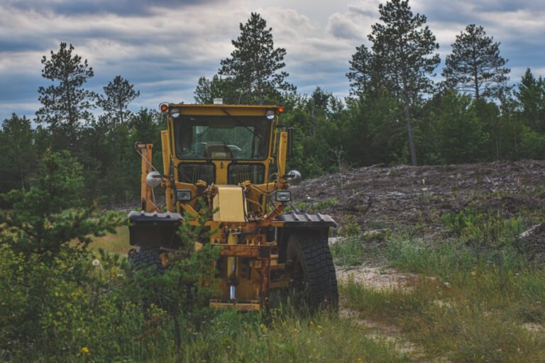 Teck Resources Leads Mining Sustainability with 3-to-1 Biodiversity Commitment