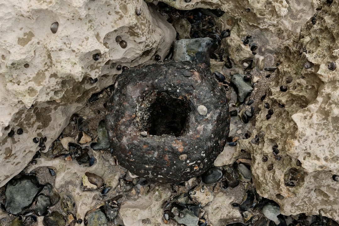 NevGold Limousine Butte Resource - NevGold's Maiden Resource Estimate at Limousine Butte: A New Frontier for Gold and Antimony
