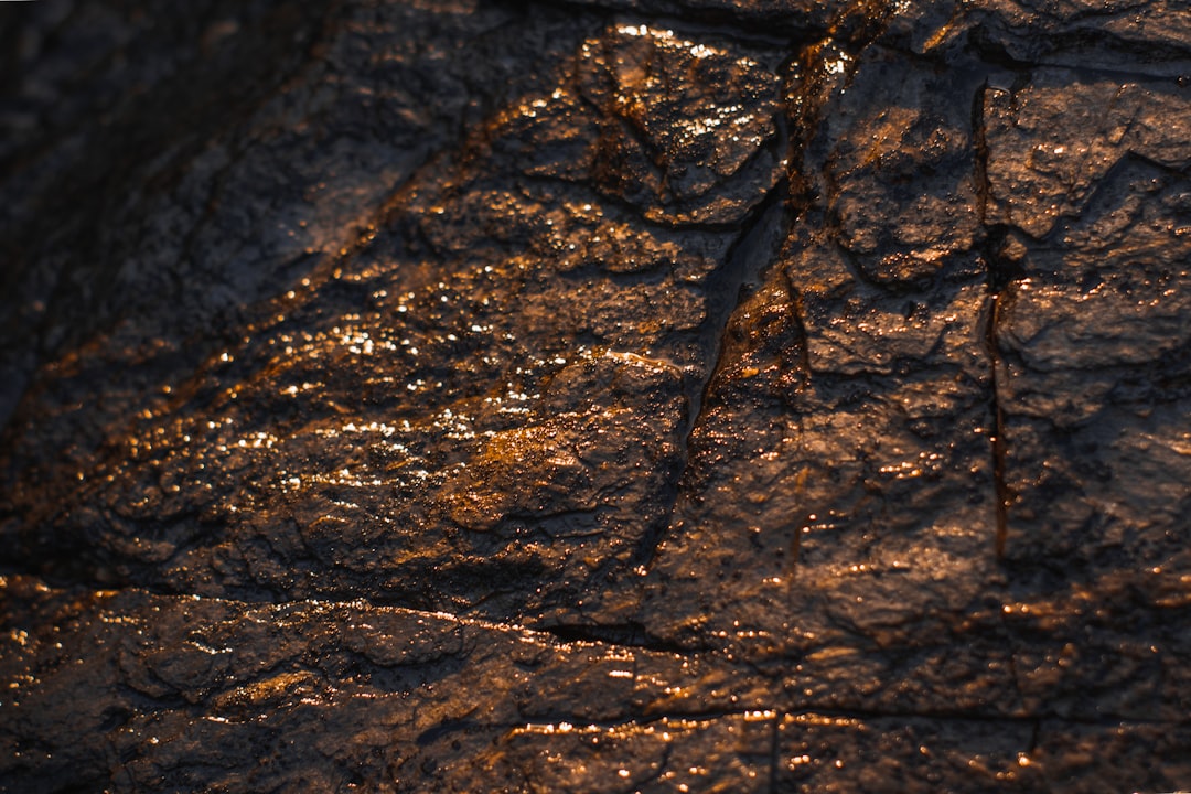 Palladium prices - Palladium Prices Surge Amid Rising Investment Demand