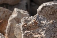 Battery Metals Update - August 5, 2026