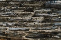 Radisson Mining O'Brien - Radisson Mining Uncovers Record High-Grade Gold at Historic O'Brien Mine