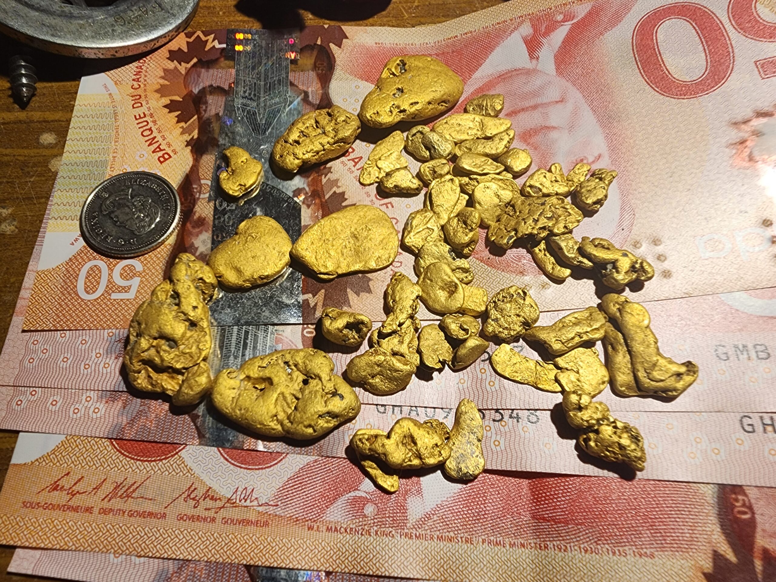 Yukon Gold Claims - Photo 1