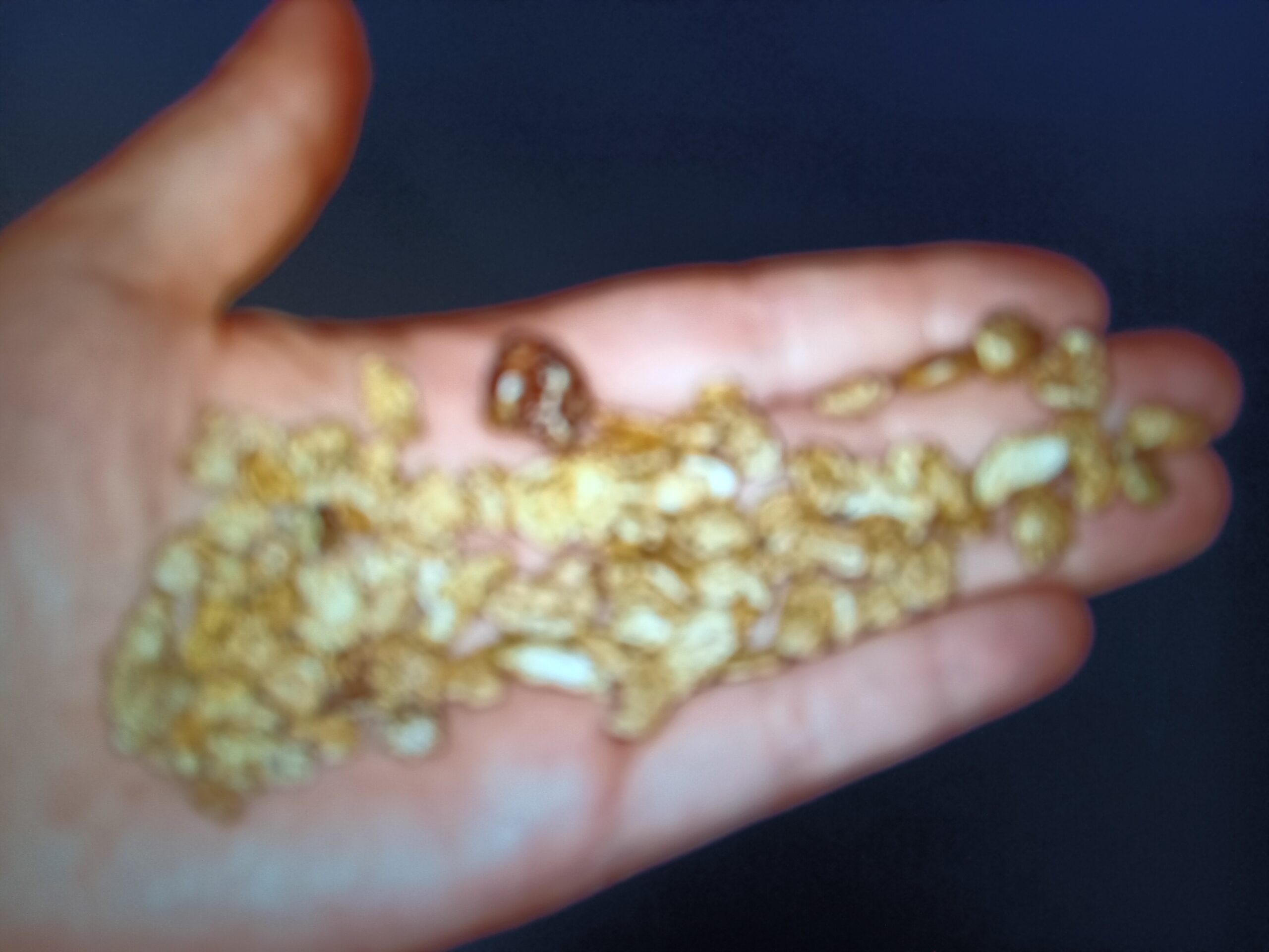 BEST IN THE WEST WORLD-CLASS GOLD - Photo 3