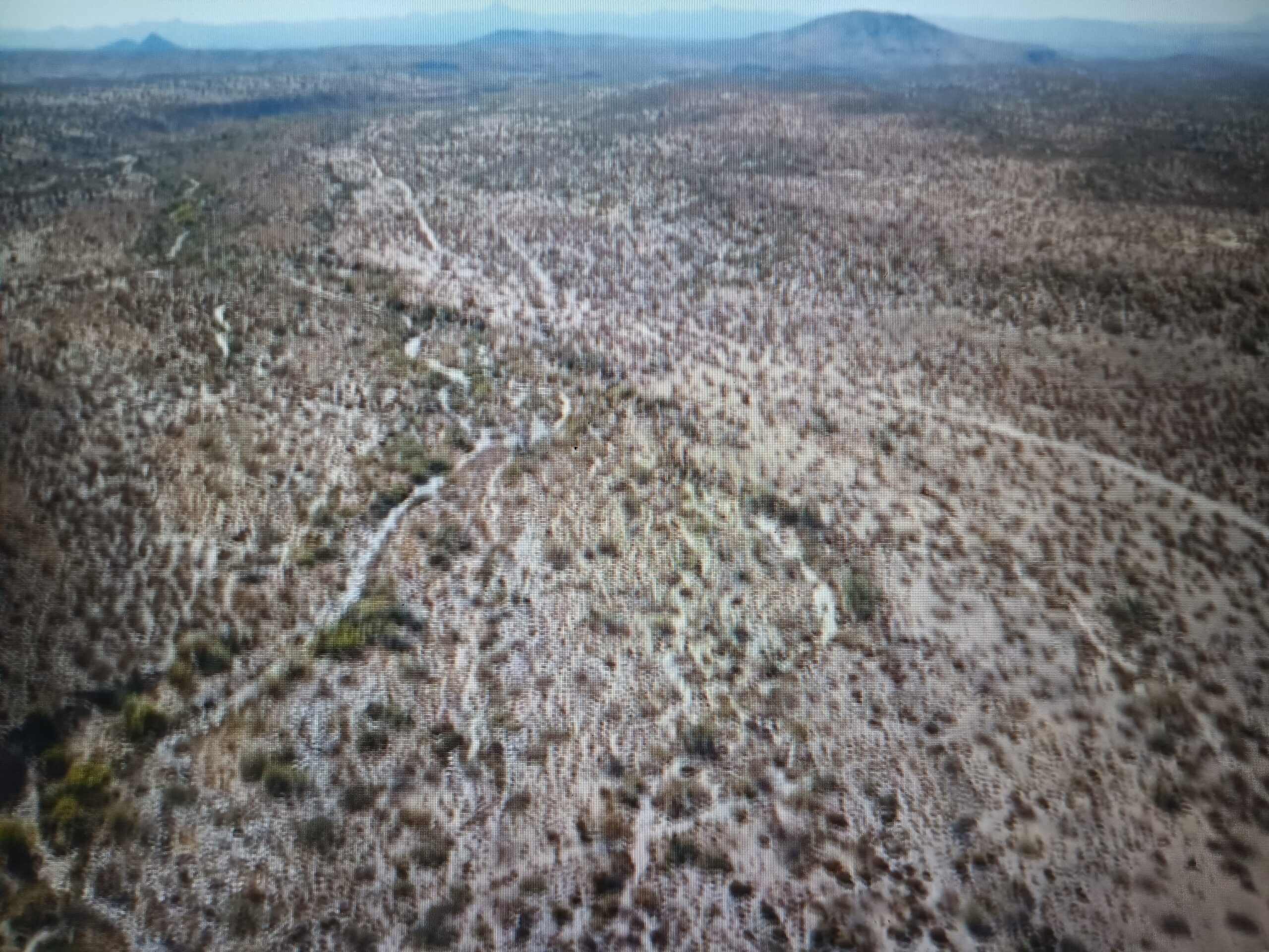 BEST IN THE WEST WORLD-CLASS GOLD - Photo 2