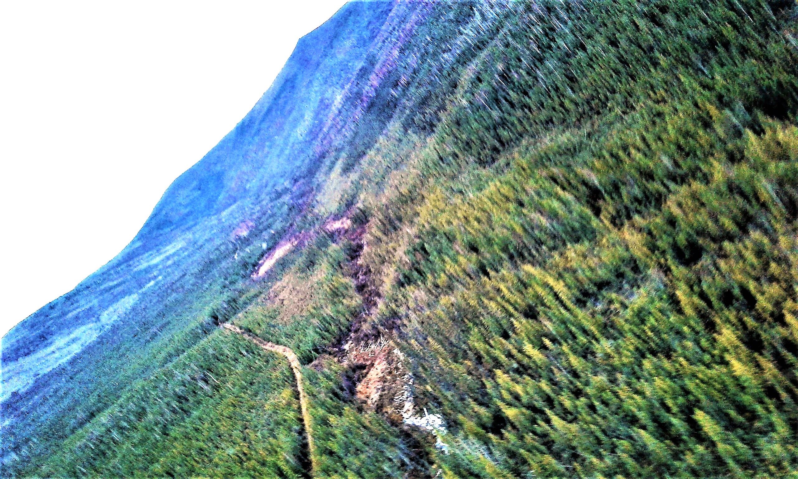 GEMINI CREEK: HIGH GRADE PLACER CLAIMS,  YUKON - Photo 2