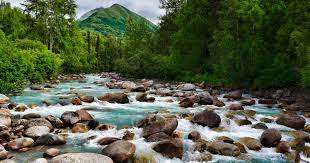 Gold Mine Hatcher Pass, Alaska – 120 acres on Purches Creek - Photo 2