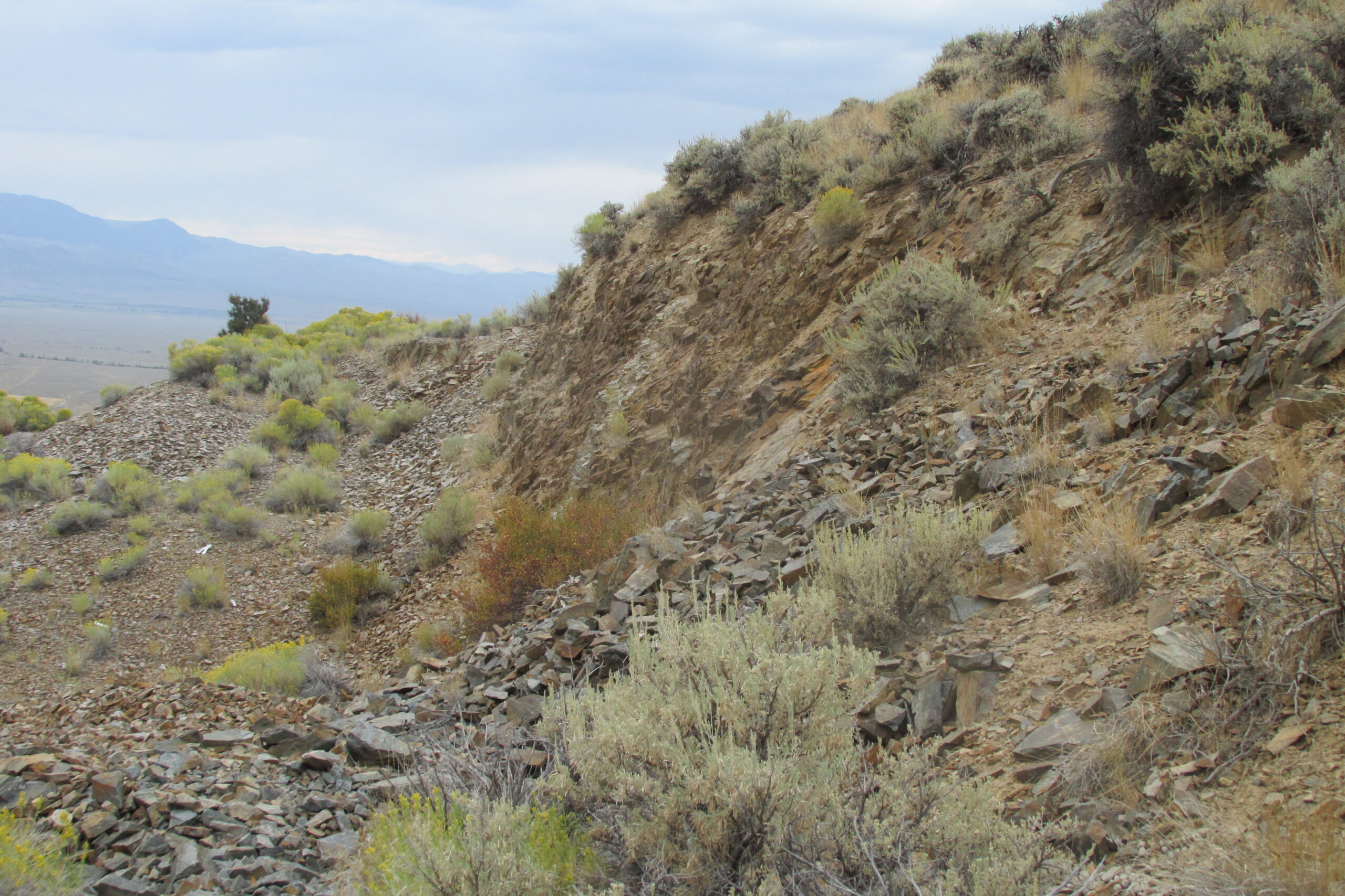 Mining Project Portfolio, 3 Properties, Gold, Silver, Copper - Photo 2