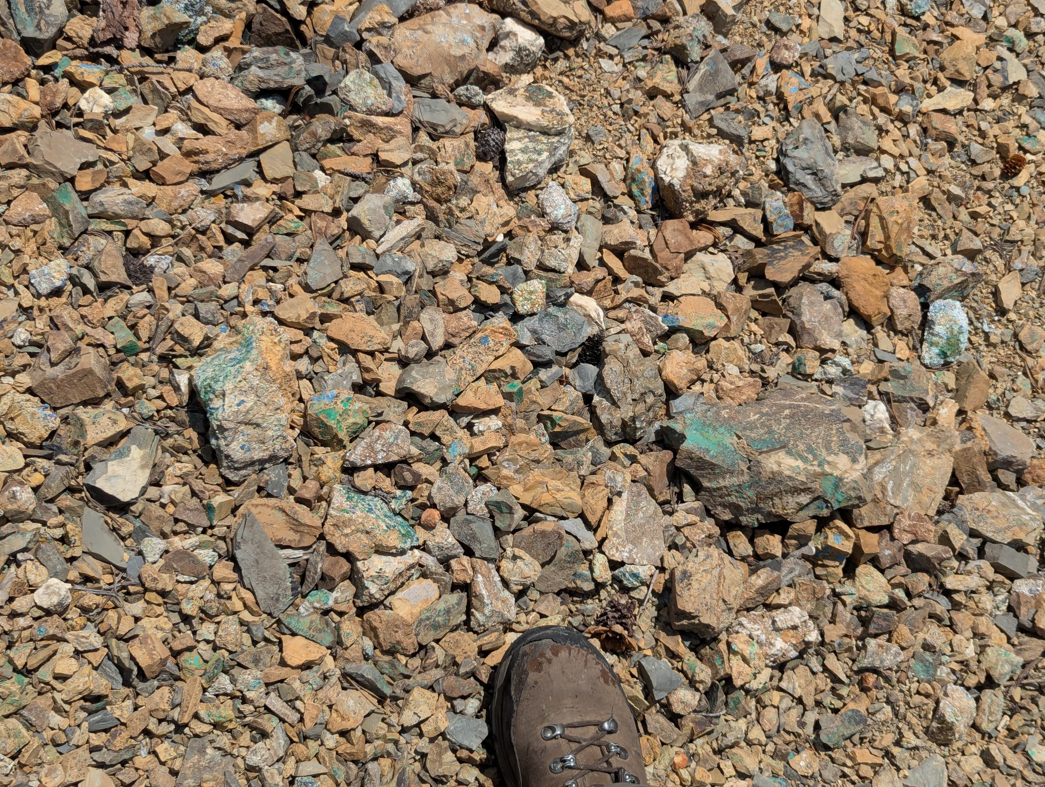 Cotter Copper Mine - Photo 3