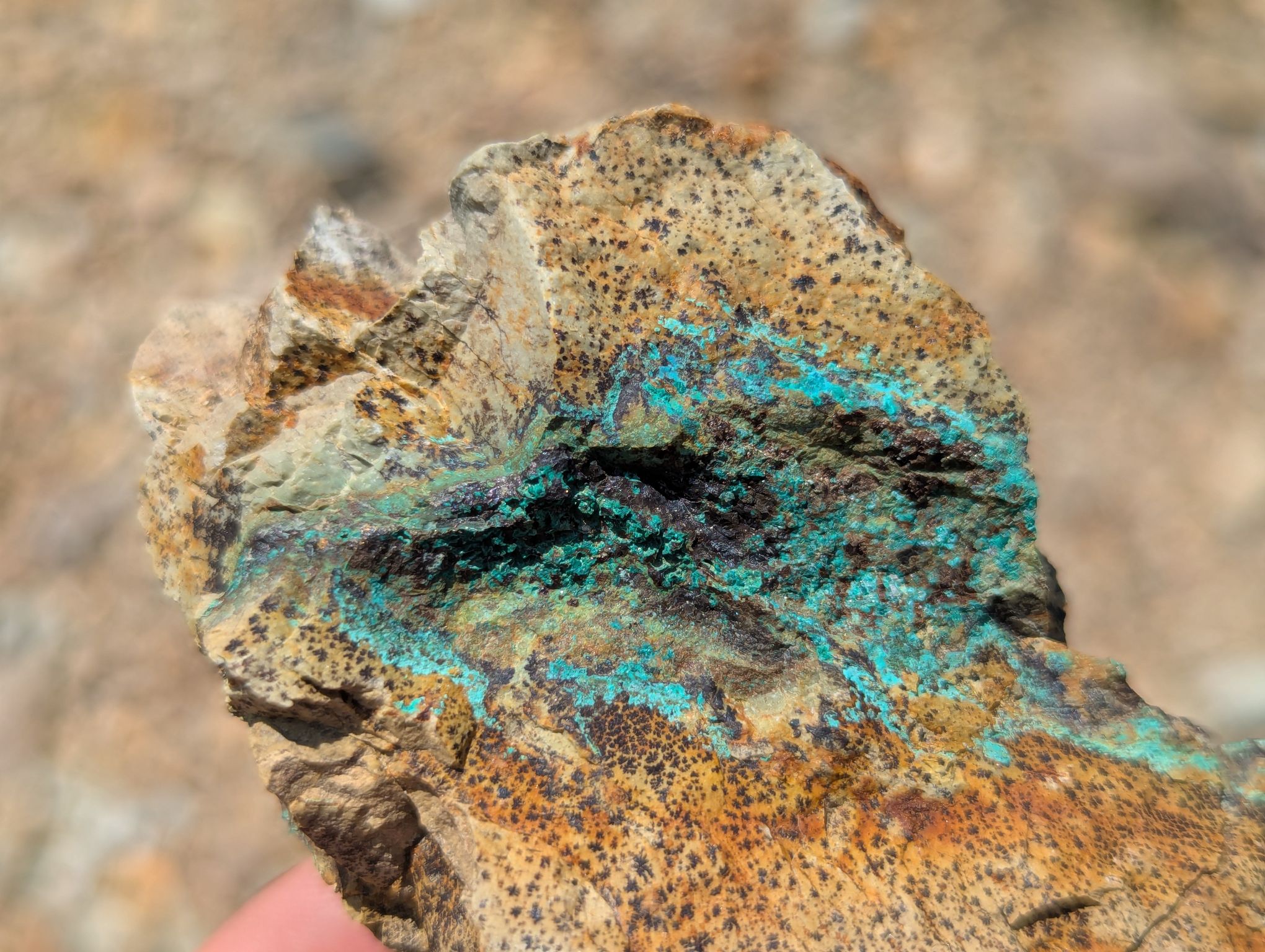 Cotter Copper Mine - Photo 2