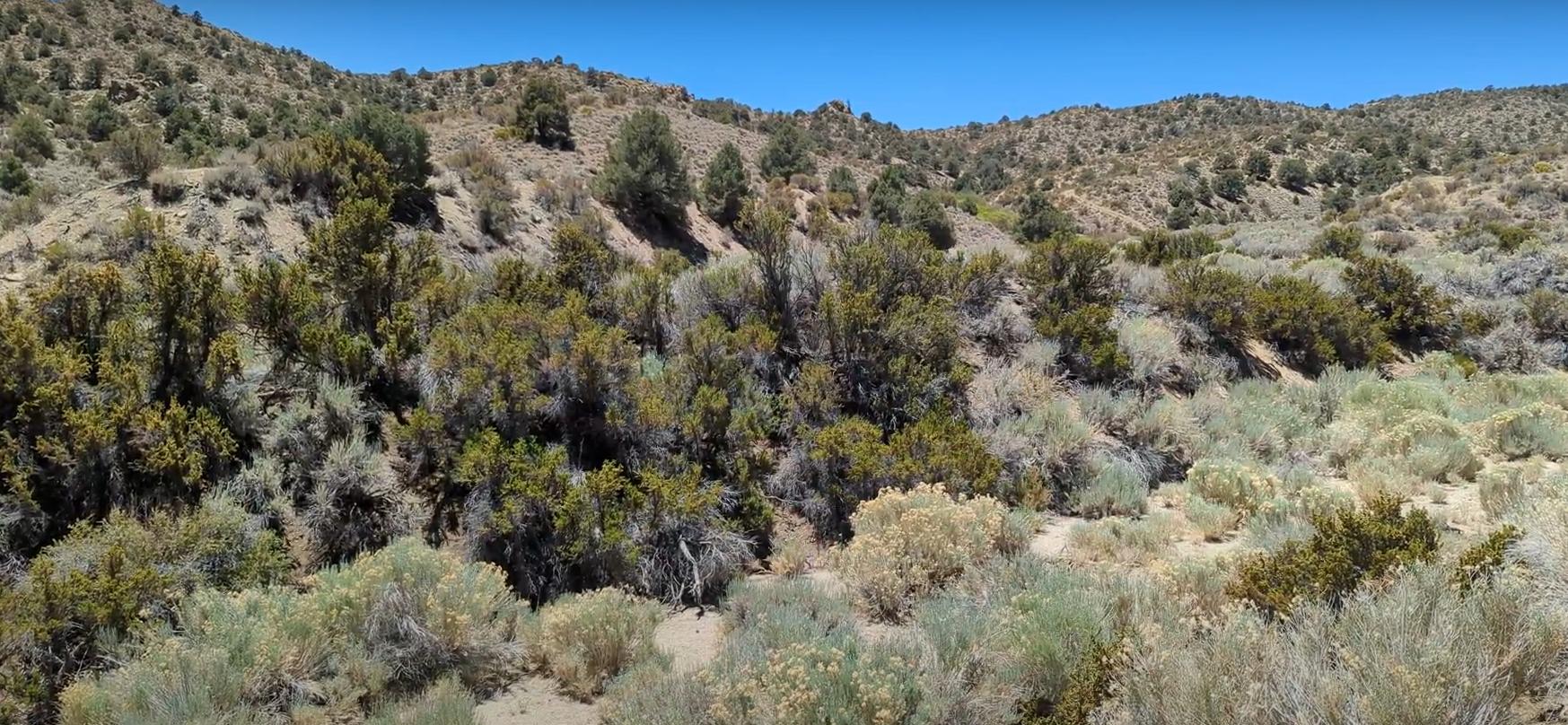 Nevada Placer Gold Mining Property - Photo 5