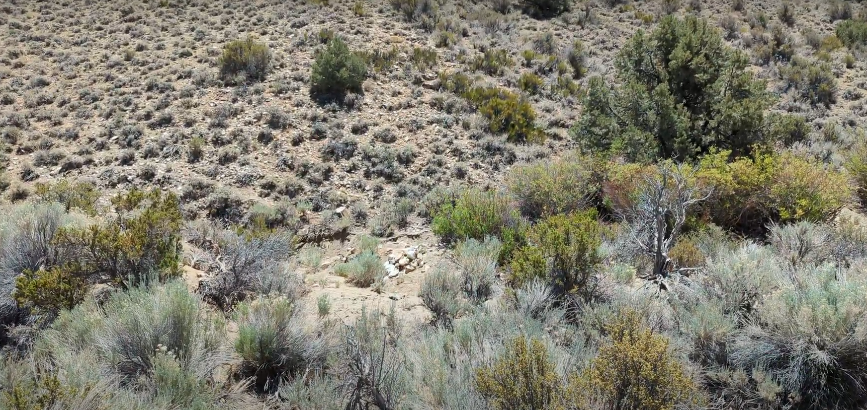 Nevada Placer Gold Mining Property