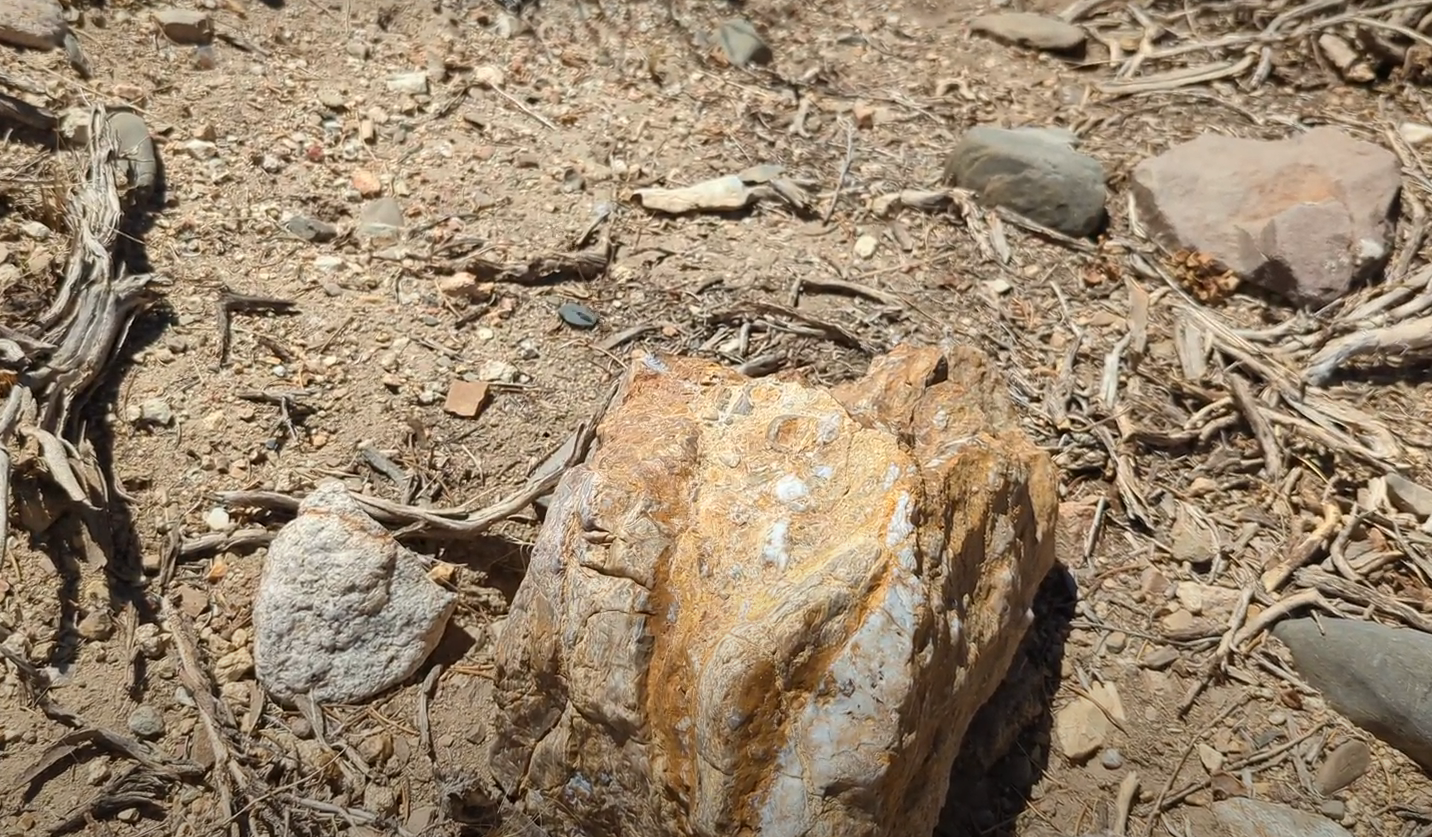 Nevada Placer Gold Mining Property - Photo 3