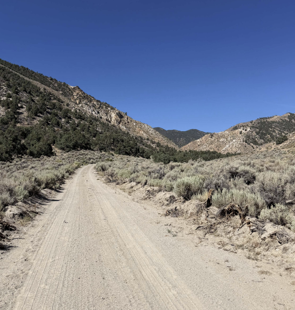 Three Tungsten Mining Properties w/ Historical Resources - Photo 4