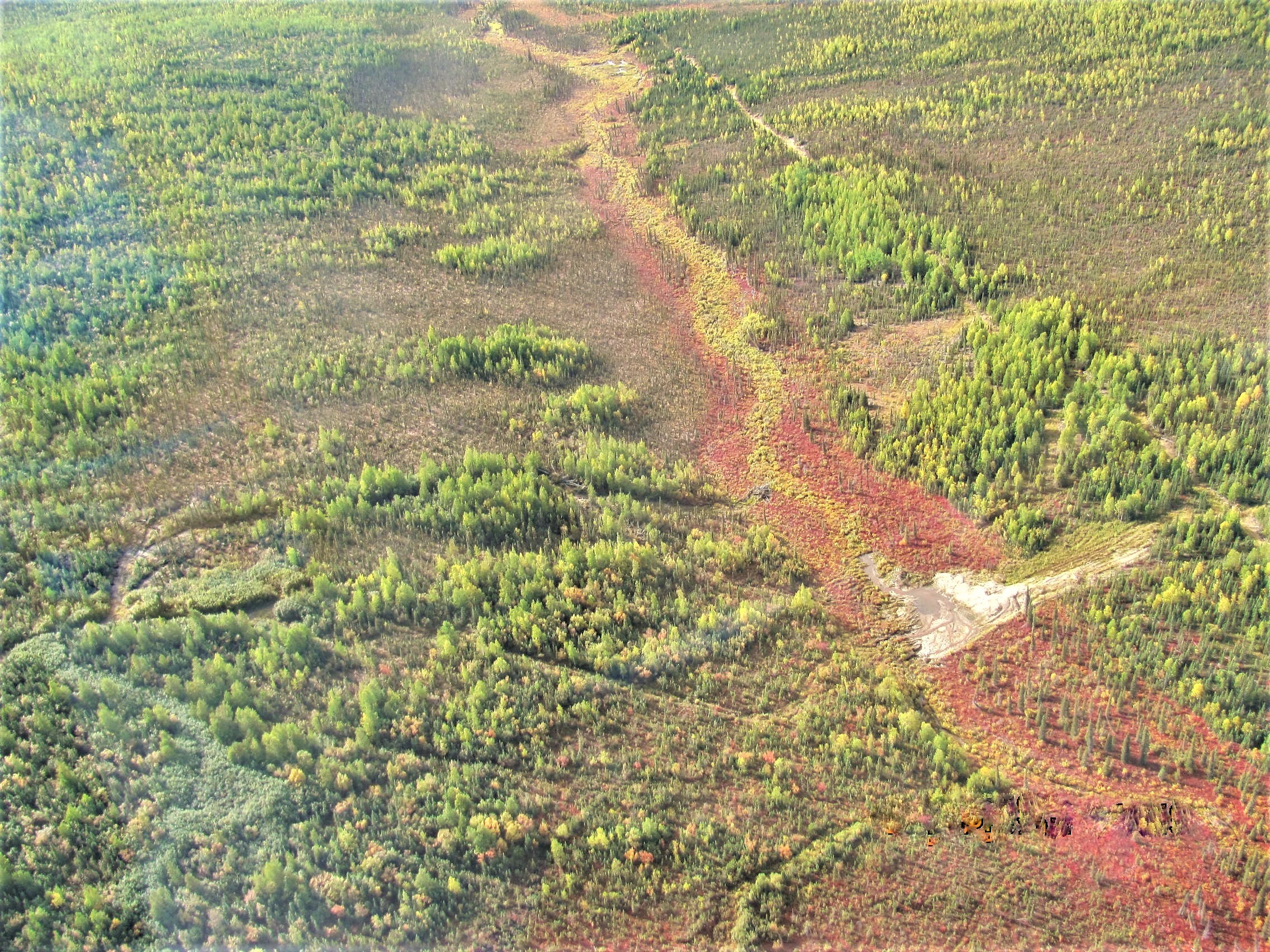 GEMINI CREEK: HIGH GRADE PLACER CLAIMS,  YUKON